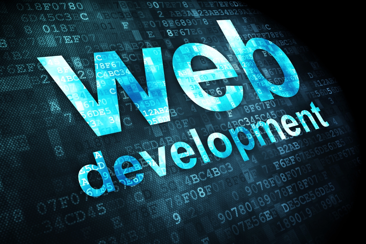 custom web application development in Kenya