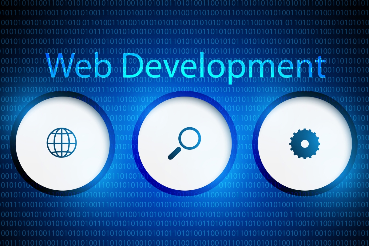 custom web application development in Kenya